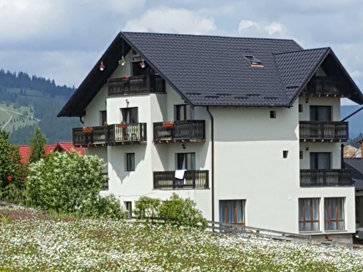 Hotel Casa Dar&And Vatra Dornei Exteriér fotografie
